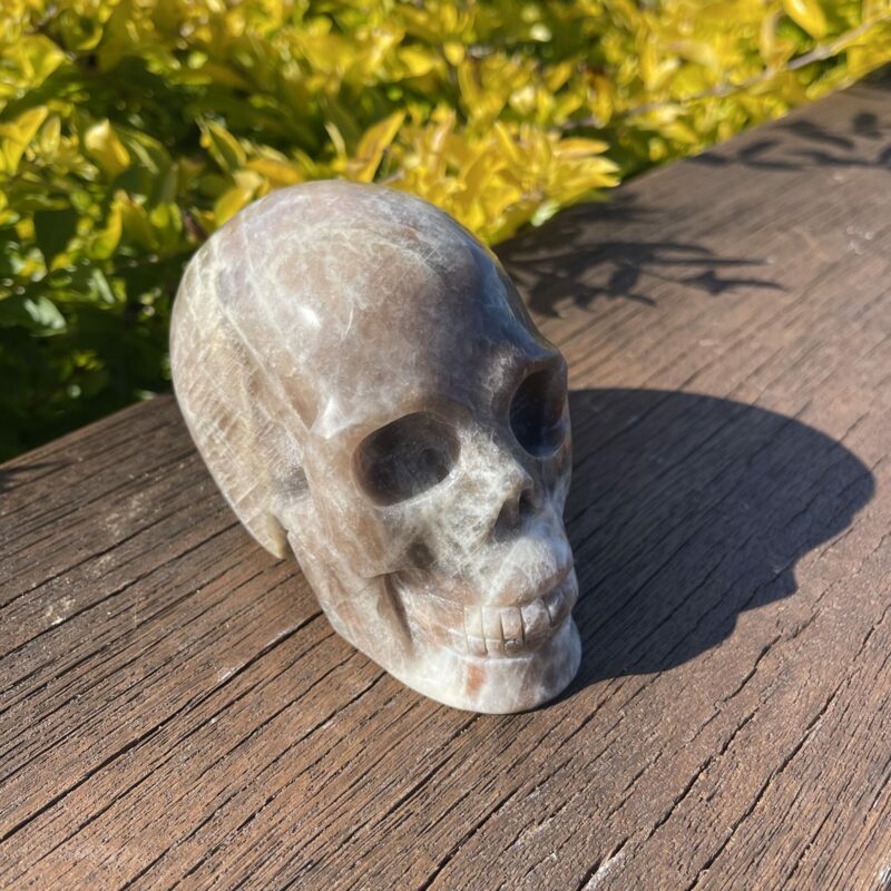 Large Black Moonstone Skull of Mystics