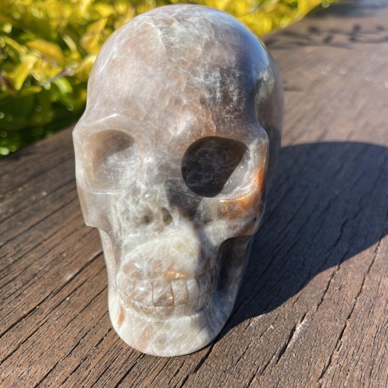 Large Black Moonstone Skull of Mystics