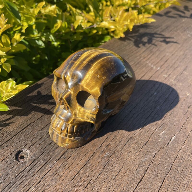 this is large tiger eye skull of strenght