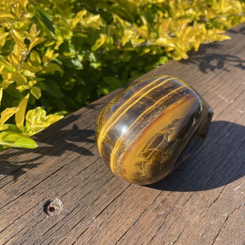 this is large tiger eye skull of strenght