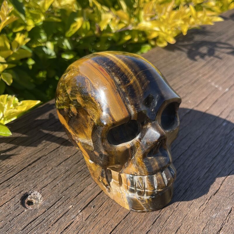 this is large tiger eye skull of strenght