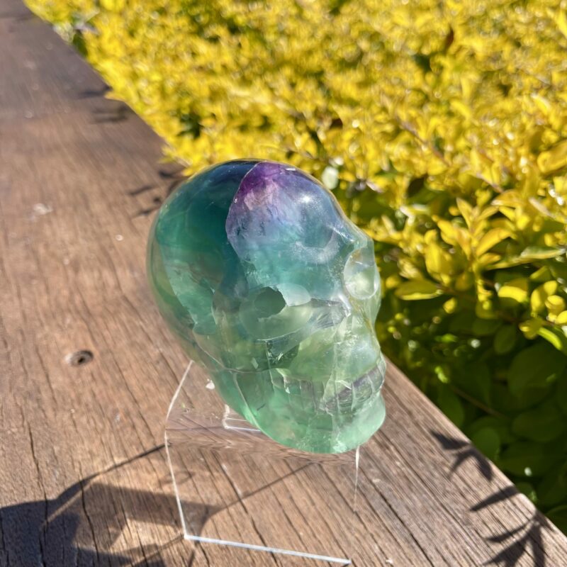 This is Gorgeous Large Rainbow Fluorite Skull