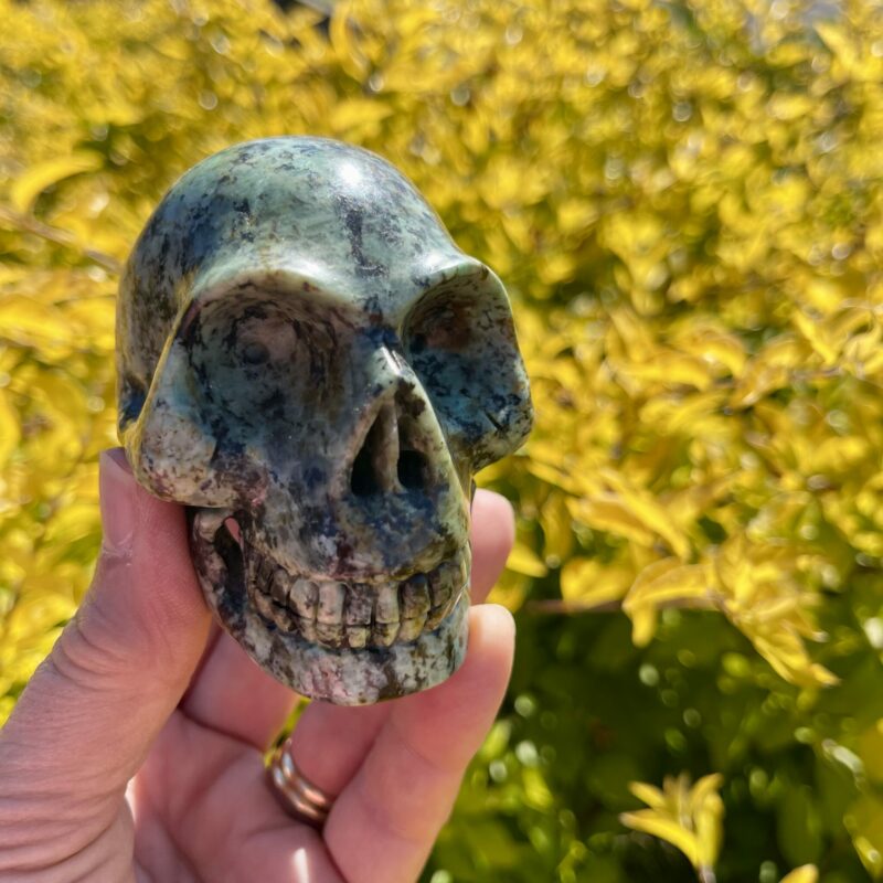 This is African Turquoise Skull of Confidence