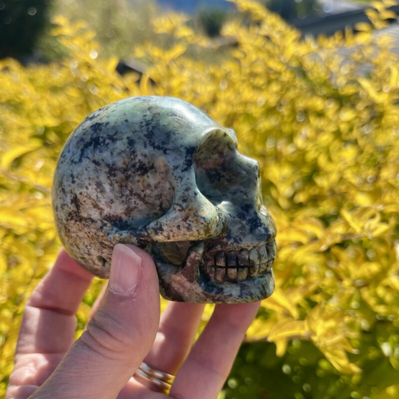 This is African Turquoise Skull of Confidence