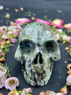This is African Turquoise Skull of Confidence