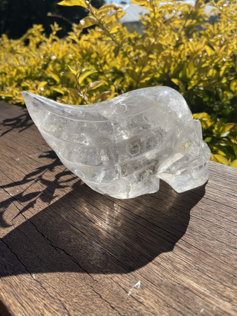 Cosmic Alien Clear Quartz Skull