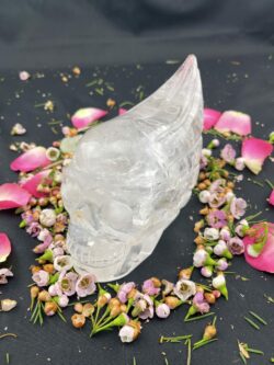 This is great Cosmic connection Alien Clear Quartz Skull
