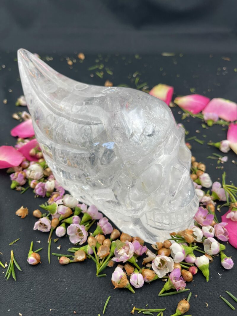 Cosmic Alien Clear Quartz Skull