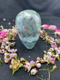 This is Amazonite Star Being gorgeous skull