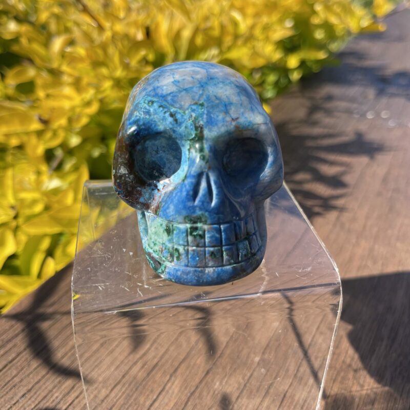 This is Quantum Quattro Skull of Magic