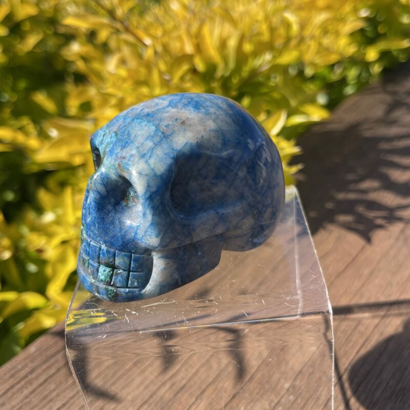 This is Quantum Quattro Skull of Magic