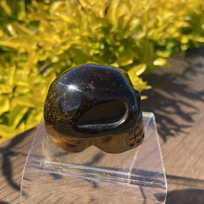 This is Tiger Eye Skull of Confidence