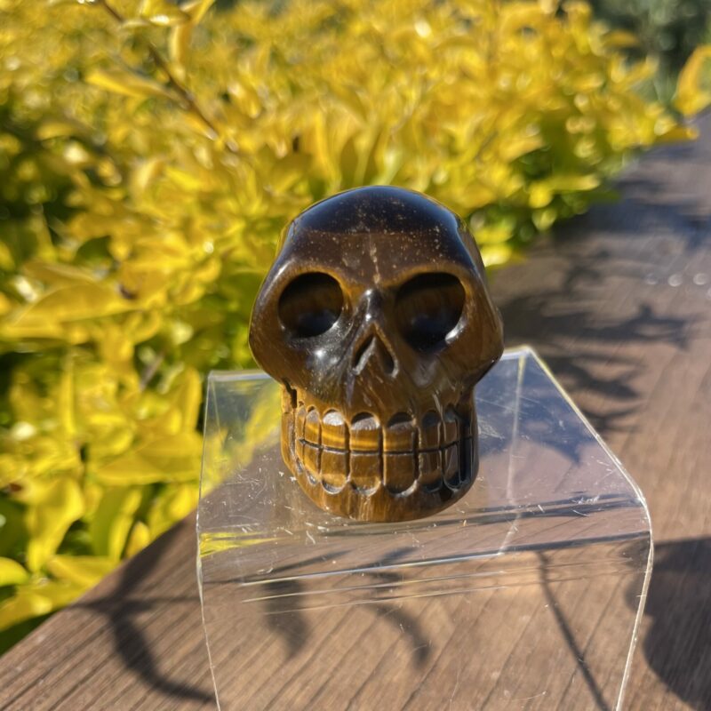 This is Tiger Eye Skull of Confidence