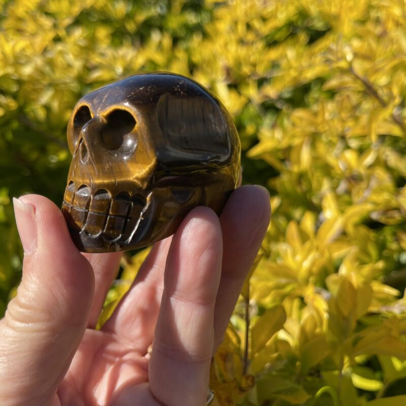 This is Tiger Eye Skull of Confidence