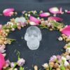 This is Cute Small Clear Quartz Skull