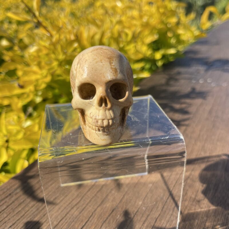 this is Unique Picture Jasper Skull Carving