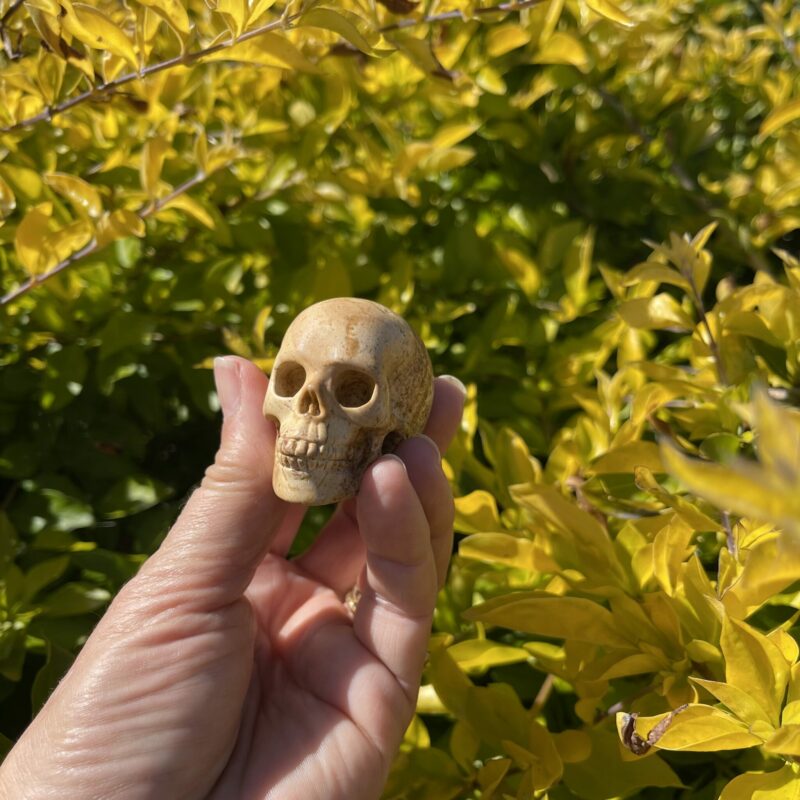 this is Unique Picture Jasper Skull Carving