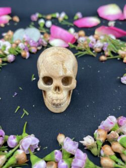 this is Unique Picture Jasper Skull Carving
