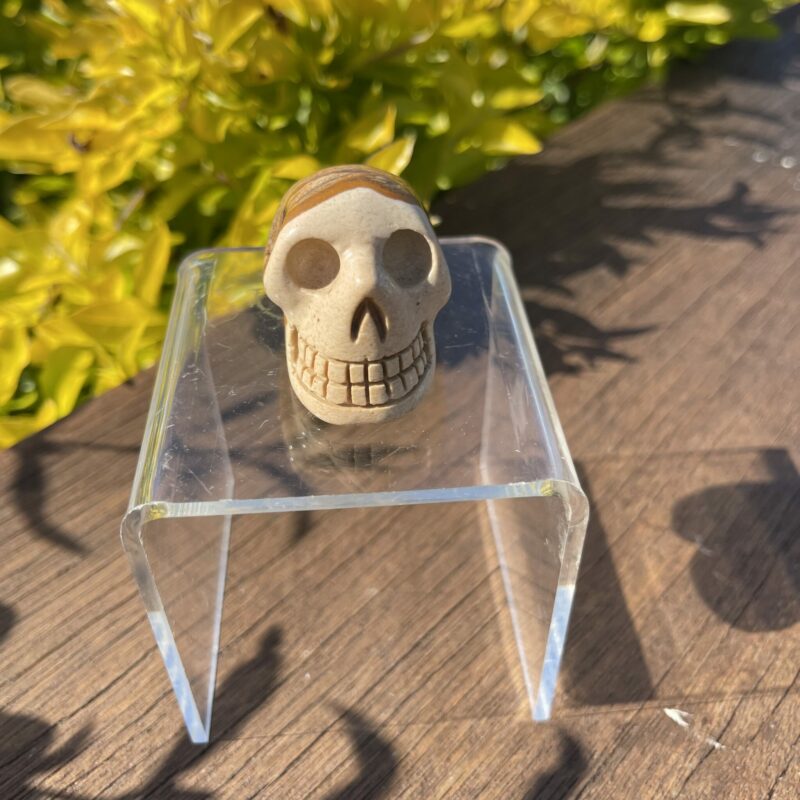 This is Small Picture Jasper Skull