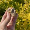 This is Small Picture Jasper Skull