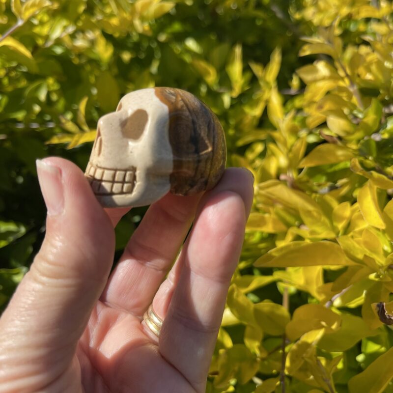 This is Small Picture Jasper Skull