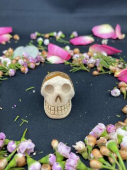 This is Small Picture Jasper Skull