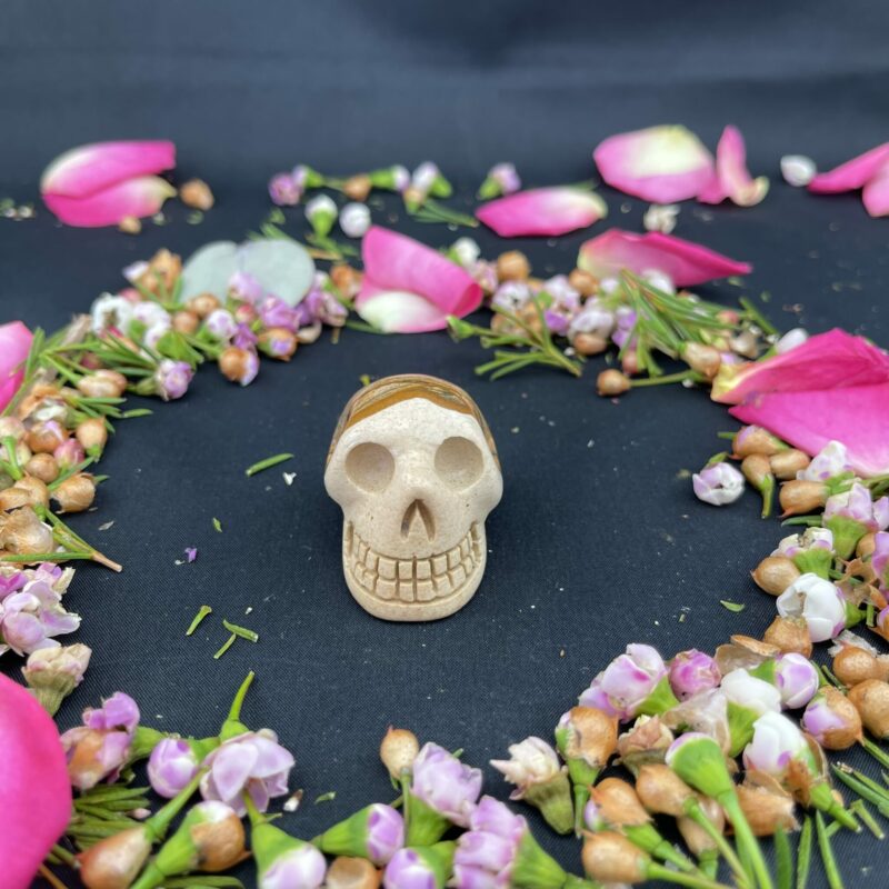 This is Small Picture Jasper Skull