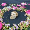 This is Small Picture Jasper Skull