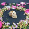 This is Small Picture Jasper Skull