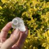 This is Small Clear Quartz Skull of Vision