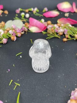 This is Small Clear Quartz Skull of Vision