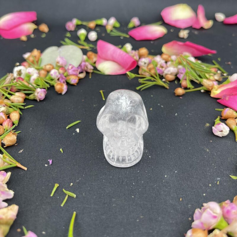 This is Small Clear Quartz Skull of Vision