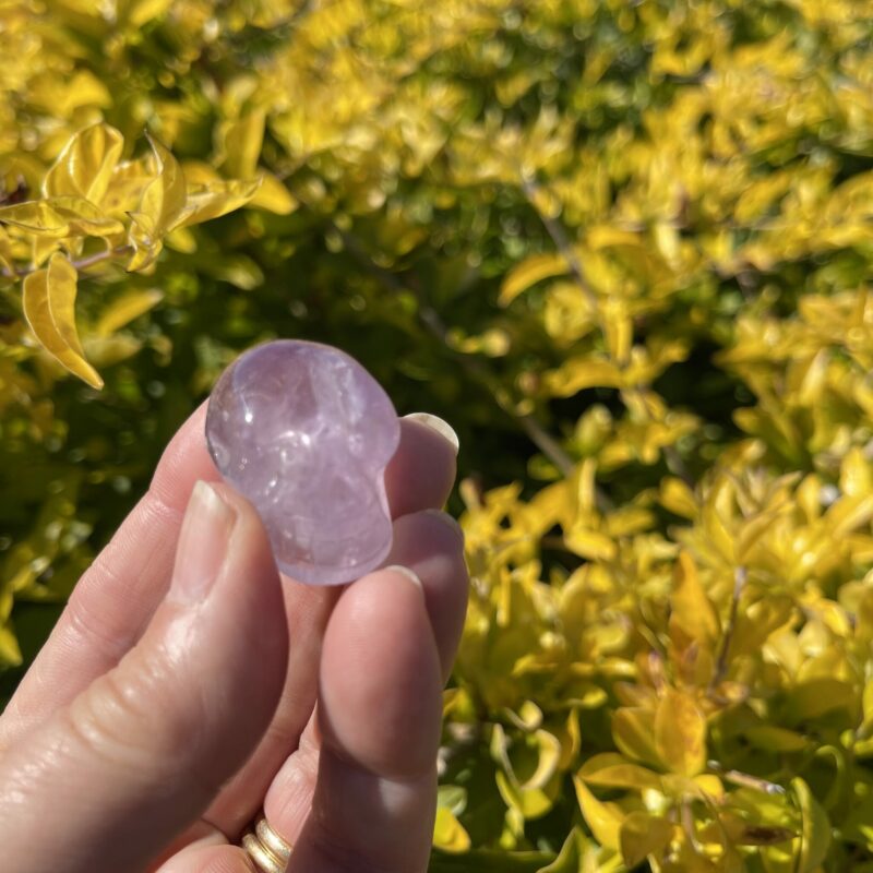 this is amethyst mini cute skull