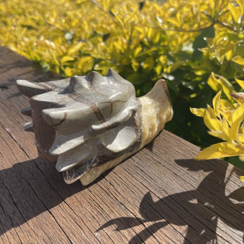 This is Mystical Septarian Dragon Head Carving