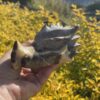 This is Mystical Septarian Dragon Head Carving