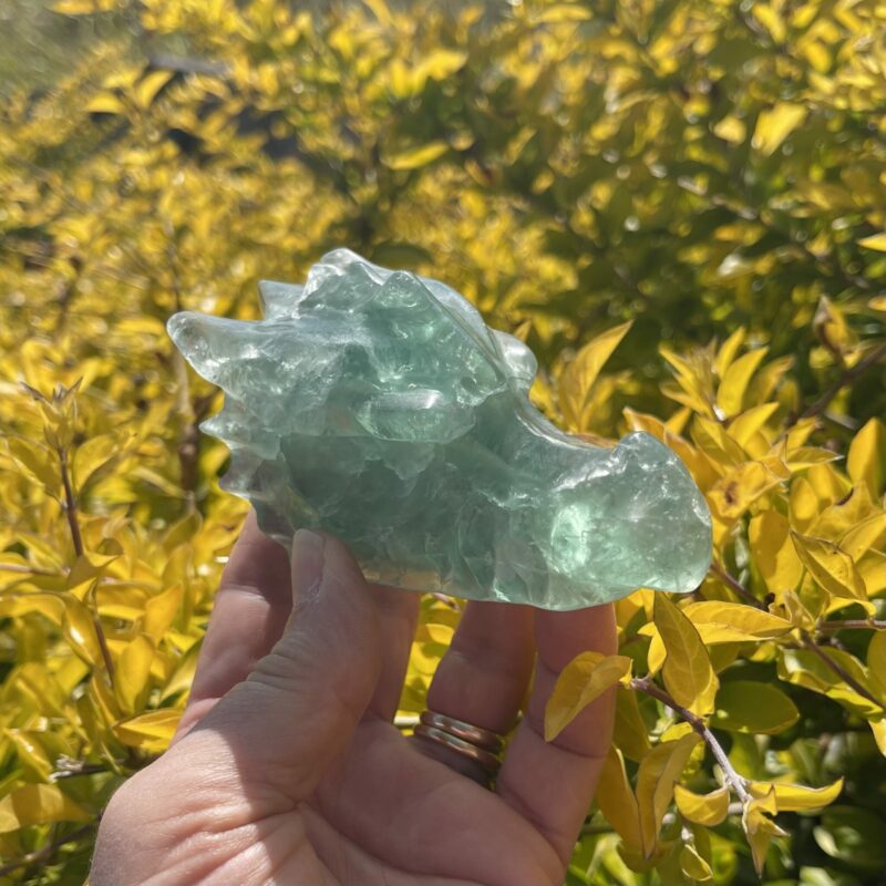 this is Rejuvenating Green Fluorite Dragon Carving