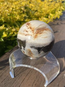 This is Ancient Jurassic Period Petrified Wood Sphere