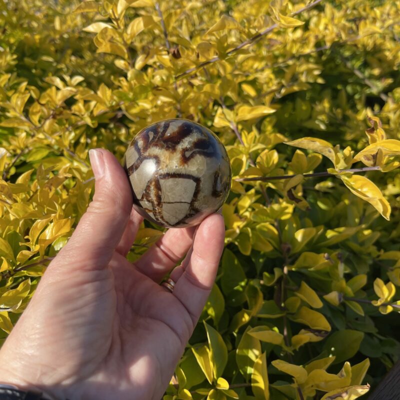 This is Ancient Septarian Sphere 58mm