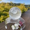 This is Dragon Figure Clear Quartz Sphere