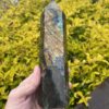 Mystical Labradorite This is tower of Transformation - 19.5cm