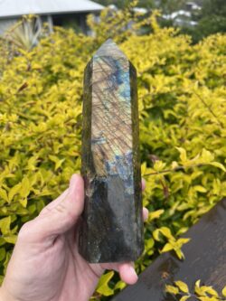 Mystical Labradorite This is tower of Transformation - 19.5cm