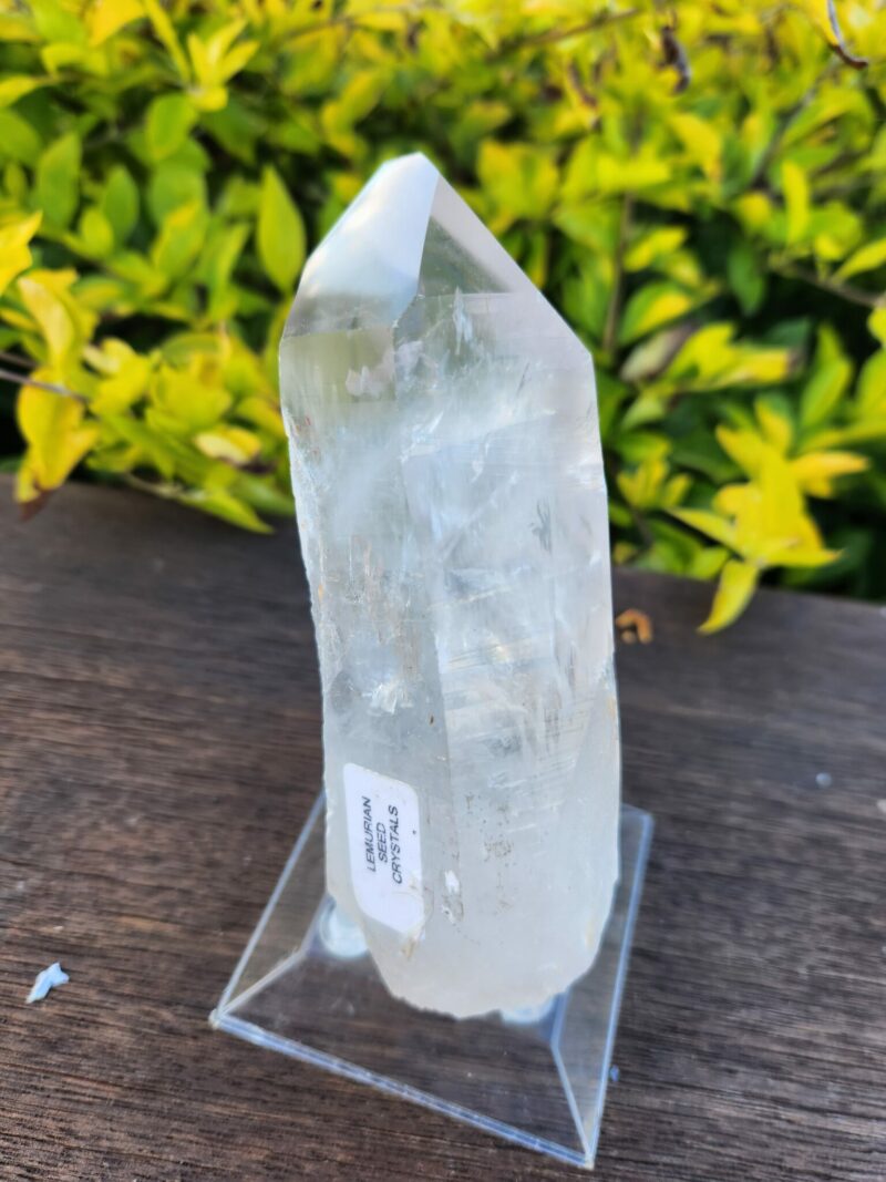 This is Tubby Lemurian Master Point – 534g