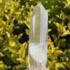 This is Powerful Super Lemurian Tabby Master Point – 161g