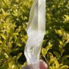 This is Powerful Super Lemurian Tabby Master Point – 161g