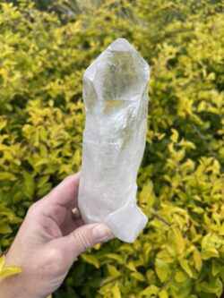 This is Earthy Large Clear Quartz Generator of Grounded Clarity - 883g