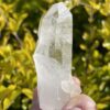 This Small Record Bridge Keeper Lemurian Point