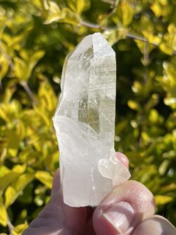 This Small Record Bridge Keeper Lemurian Point