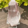 This is Pink Lemurian Tabby Master Point – 146g