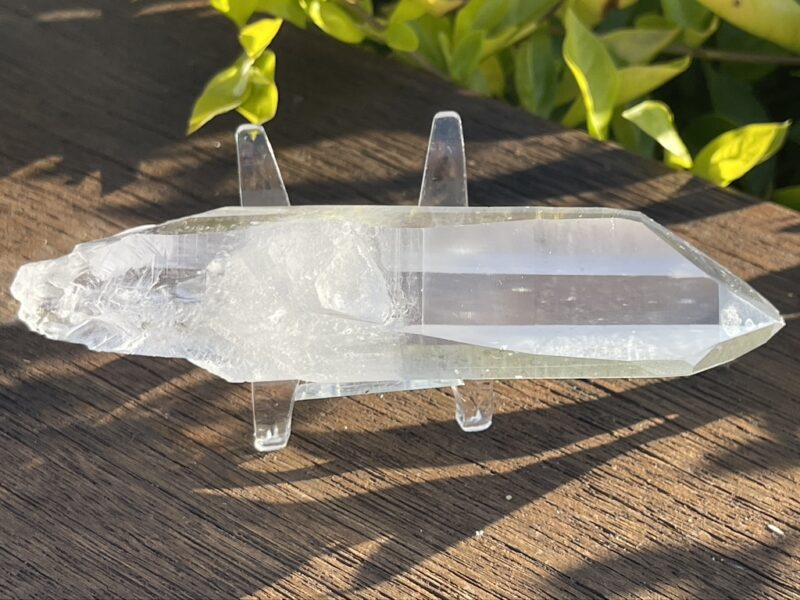 This is Powerful Super Lemurian Tabby Master Point – 161g