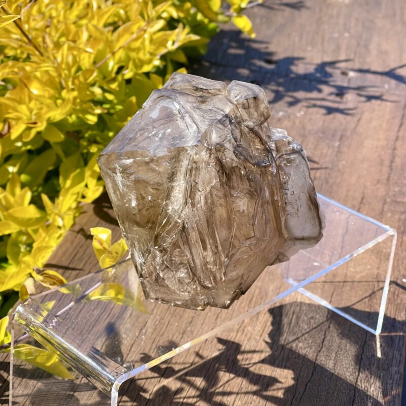 This is Elestial Skeleton Smokey Quartz 1.6kg Masterpiece